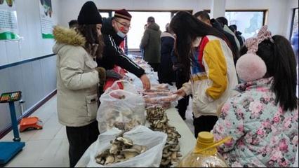 新年登高哈巴河 健康快乐迎冬奥