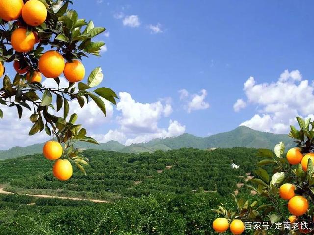 定南,信丰,兴国,南康,龙南&hellip;&hellip;高铁站选址,未来身价要暴涨!