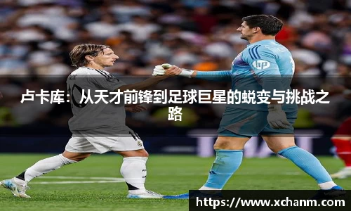 卢卡库：从天才前锋到足球巨星的蜕变与挑战之路